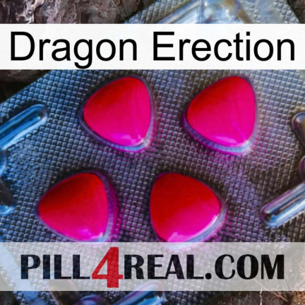 Dragon Erection 13